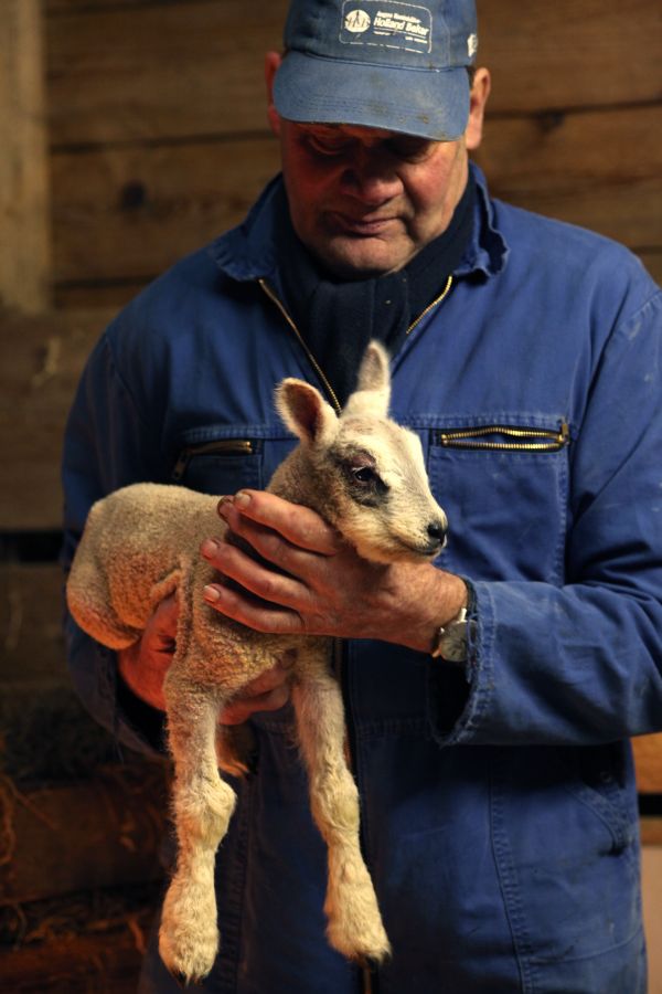 Trotse boer Willem met pasgeboren lammetje