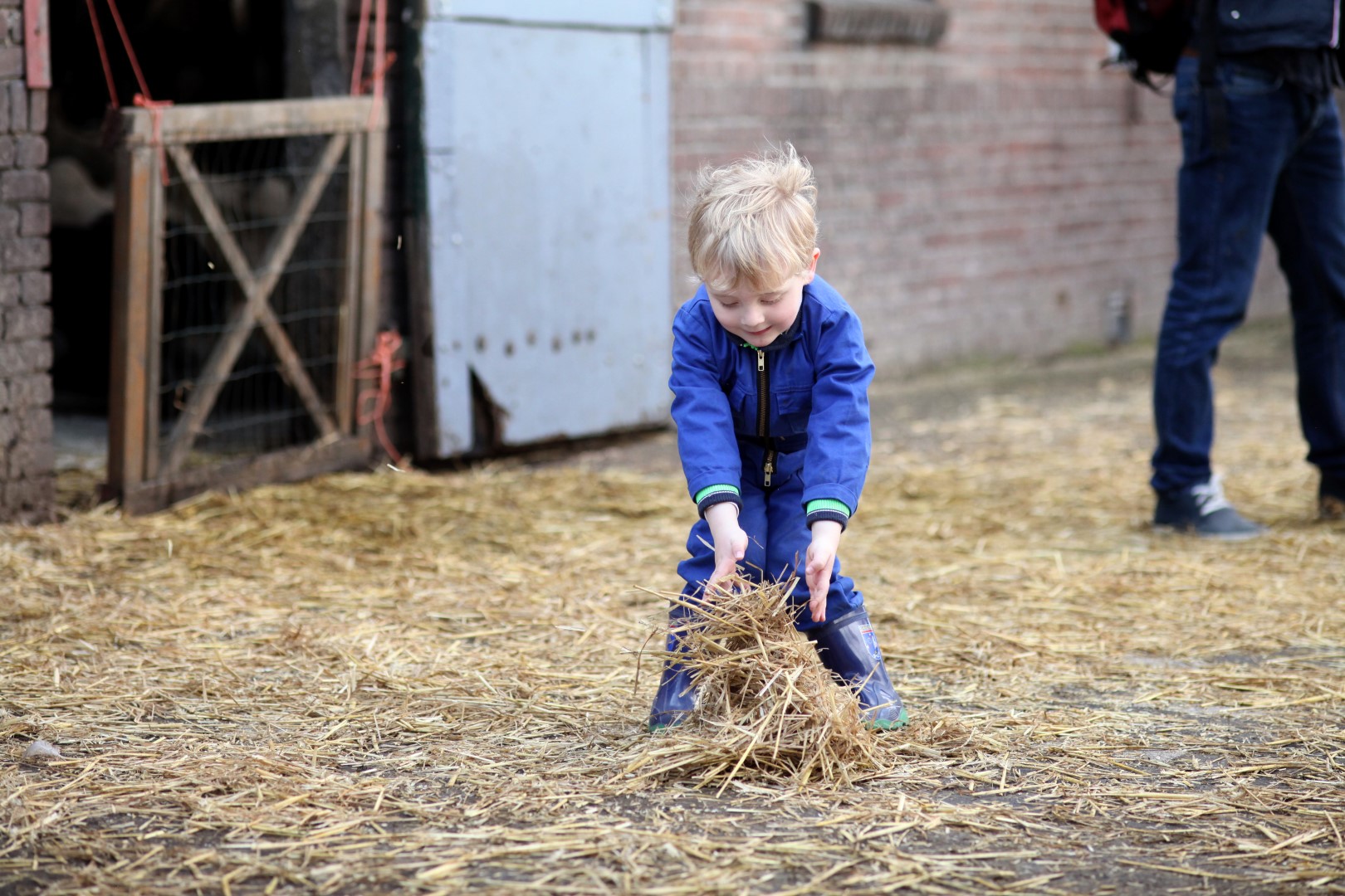 Lees meer over het artikel Lammetjesdag was een superdag