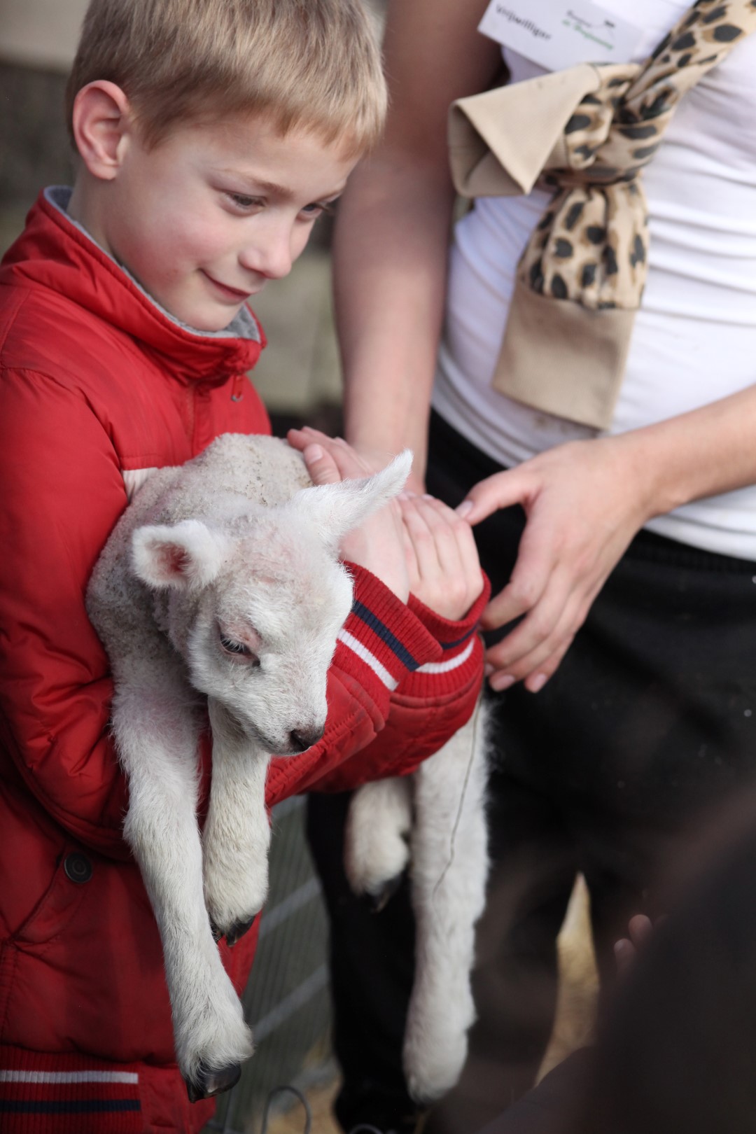 Lammetjesdag boerderij Hoefwoning