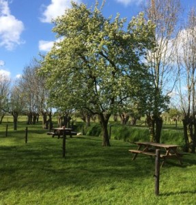 Bourgondische picknick in boomgaard